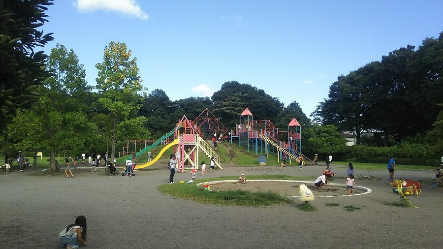 🏞️ 오야마 운동공원(오야마 운도코엔) 이미지 1